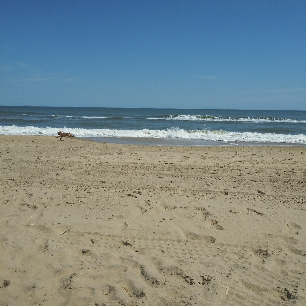 Meet your Posher, Becky